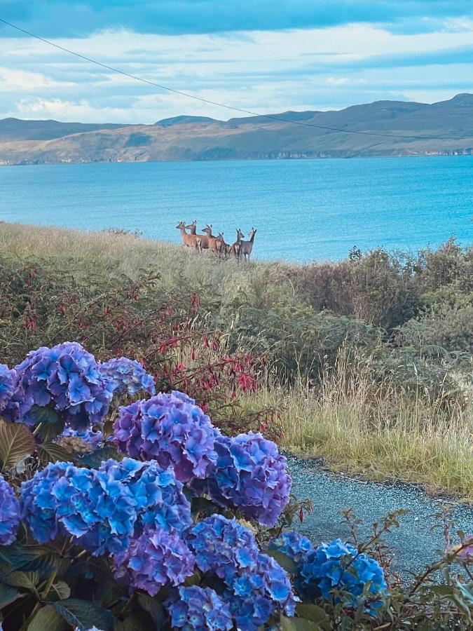 The Rowanberry Suite At Rowan Cottage Elgol Exteriér fotografie